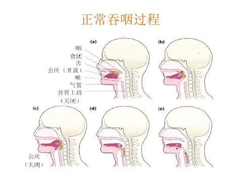 咽喉意思